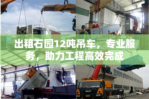 出租石园12吨吊车，专业服务，助力工程高效完成