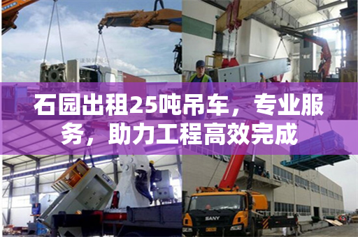 石园出租25吨吊车,专业服务,助力工程高效完成 石园出租25吨吊车,专业服务,助力工程高效完成