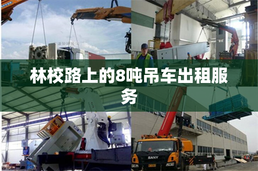 林校路上的8吨吊车出租服务