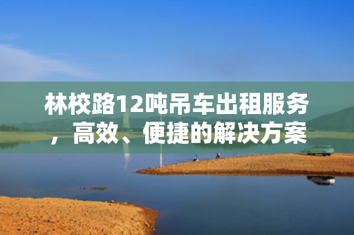 林校路12吨吊车出租服务，高效、便捷的解决方案