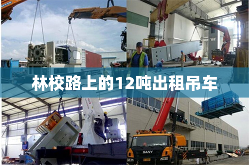 林校路上的12吨出租吊车