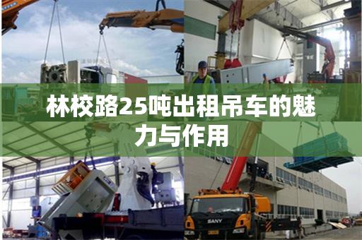 林校路25吨出租吊车的魅力与作用
