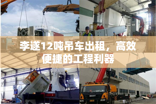 李遂12吨吊车出租，高效便捷的工程利器