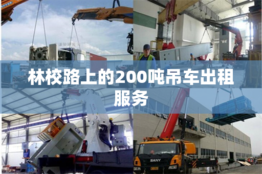 林校路上的200吨吊车出租服务