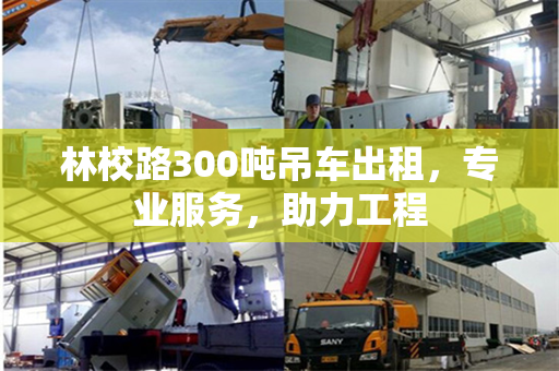林校路300吨吊车出租，专业服务，助力工程