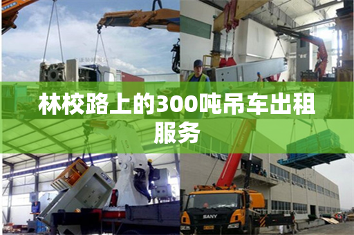 林校路上的300吨吊车出租服务