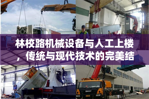 林校路机械设备与人工上楼，传统与现代技术的完美结合
