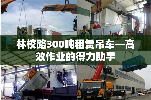 林校路300吨租赁吊车—高效作业的得力助手