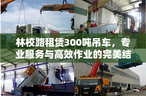 林校路租赁300吨吊车，专业服务与高效作业的完美结合
