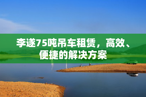 李遂75吨吊车租赁，高效、便捷的解决方案