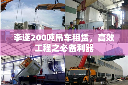 李遂200吨吊车租赁，高效工程之必备利器