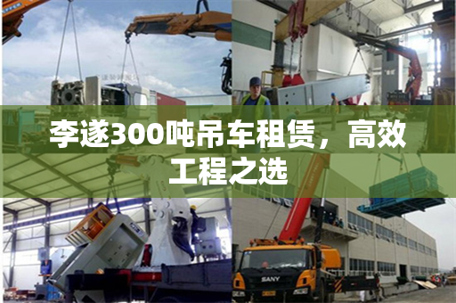 李遂300吨吊车租赁，高效工程之选