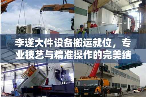 李遂大件设备搬运就位，专业技艺与精准操作的完美结合