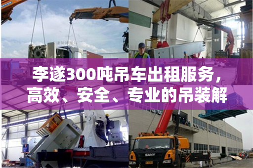 李遂300吨吊车出租服务，高效、安全、专业的吊装解决方案