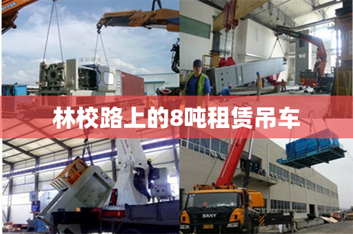 林校路上的8吨租赁吊车