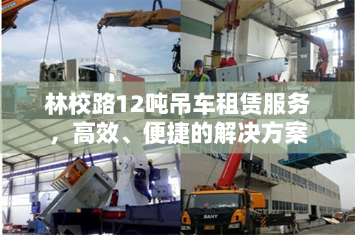 林校路12吨吊车租赁服务，高效、便捷的解决方案