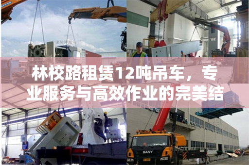 林校路租赁12吨吊车，专业服务与高效作业的完美结合