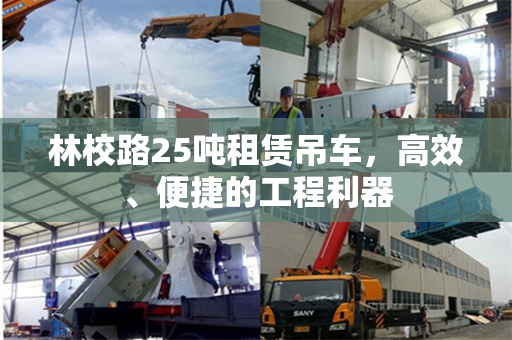 林校路25吨租赁吊车，高效、便捷的工程利器
