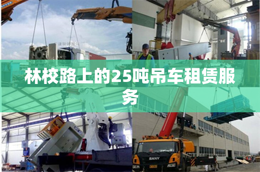 林校路上的25吨吊车租赁服务