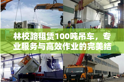 林校路租赁100吨吊车，专业服务与高效作业的完美结合