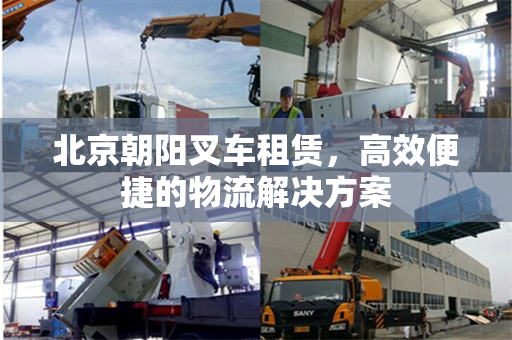 北京朝阳叉车租赁，高效便捷的物流解决方案