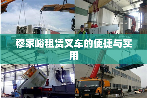 穆家峪租赁叉车的便捷与实用