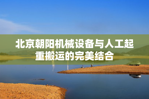 北京朝阳机械设备与人工起重搬运的完美结合