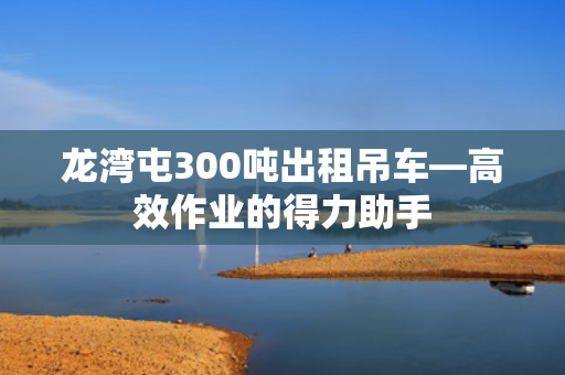 龙湾屯300吨出租吊车—高效作业的得力助手