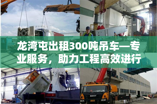 龙湾屯出租300吨吊车—专业服务，助力工程高效进行