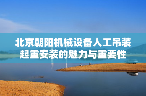 北京朝阳机械设备人工吊装起重安装的魅力与重要性
