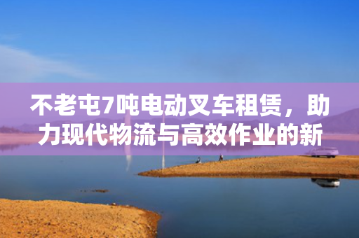 不老屯7吨电动叉车租赁，助力现代物流与高效作业的新选择