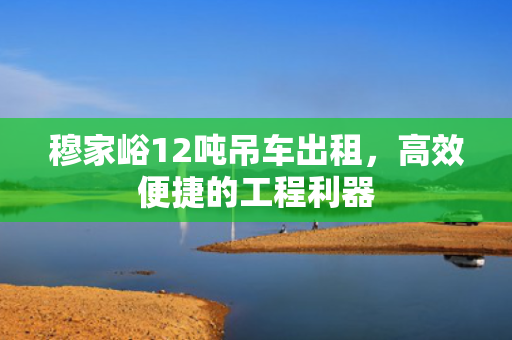 穆家峪12吨吊车出租，高效便捷的工程利器
