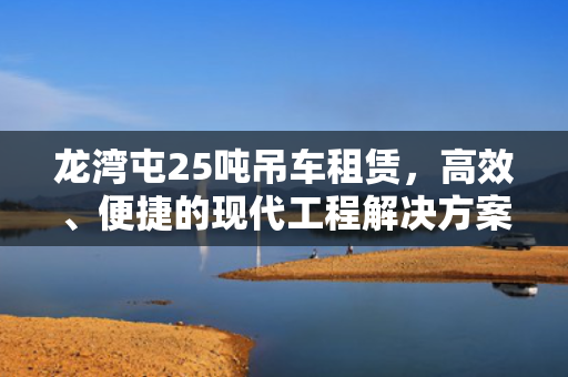 龙湾屯25吨吊车租赁，高效、便捷的现代工程解决方案