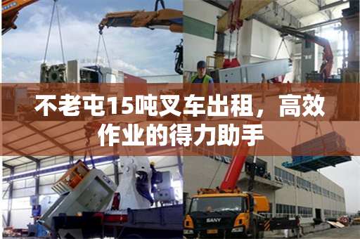 不老屯15吨叉车出租，高效作业的得力助手