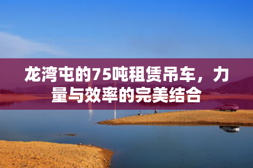 龙湾屯的75吨租赁吊车，力量与效率的完美结合