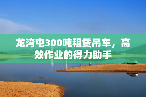 龙湾屯300吨租赁吊车，高效作业的得力助手