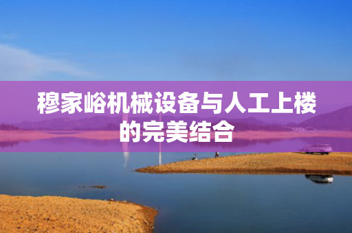 穆家峪机械设备与人工上楼的完美结合