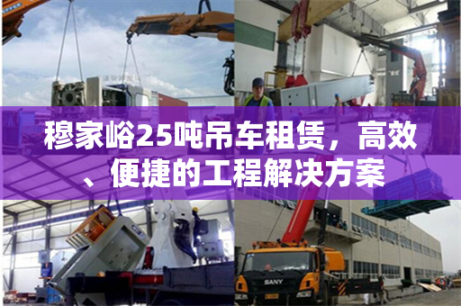 穆家峪25吨吊车租赁，高效、便捷的工程解决方案