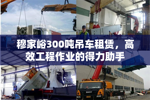 穆家峪300吨吊车租赁，高效工程作业的得力助手