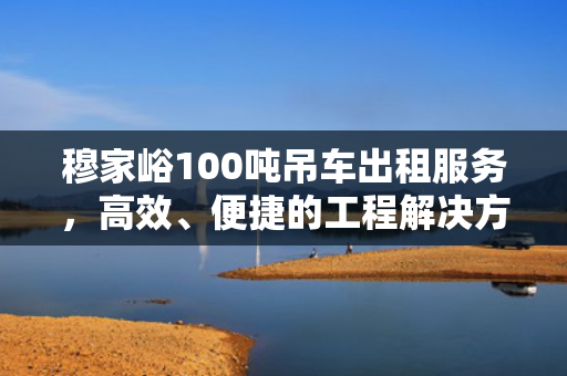 穆家峪100吨吊车出租服务，高效、便捷的工程解决方案