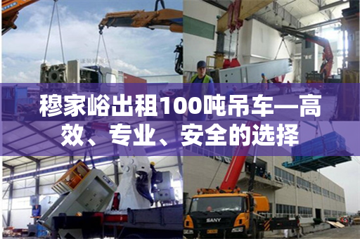 穆家峪出租100吨吊车—高效、专业、安全的选择