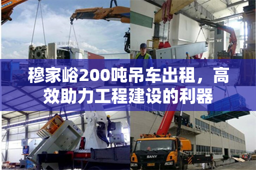 穆家峪200吨吊车出租，高效助力工程建设的利器