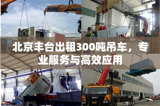 北京丰台出租300吨吊车,专业服务与高效应用 北京丰台出租300吨吊车,专业服务与高效应用