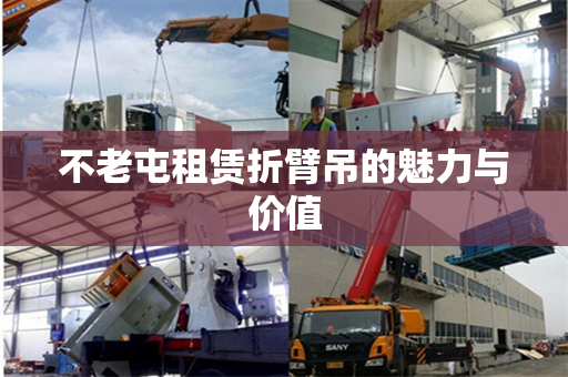 不老屯租赁折臂吊的魅力与价值