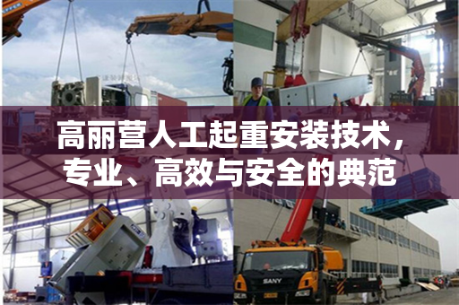 高丽营人工起重安装技术，专业、高效与安全的典范